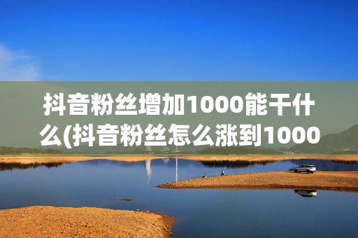 抖音粉丝增加1000能干什么(抖音粉丝怎么涨到1000就不涨了)-第1张图片-孟州市鸿昌木材加工厂